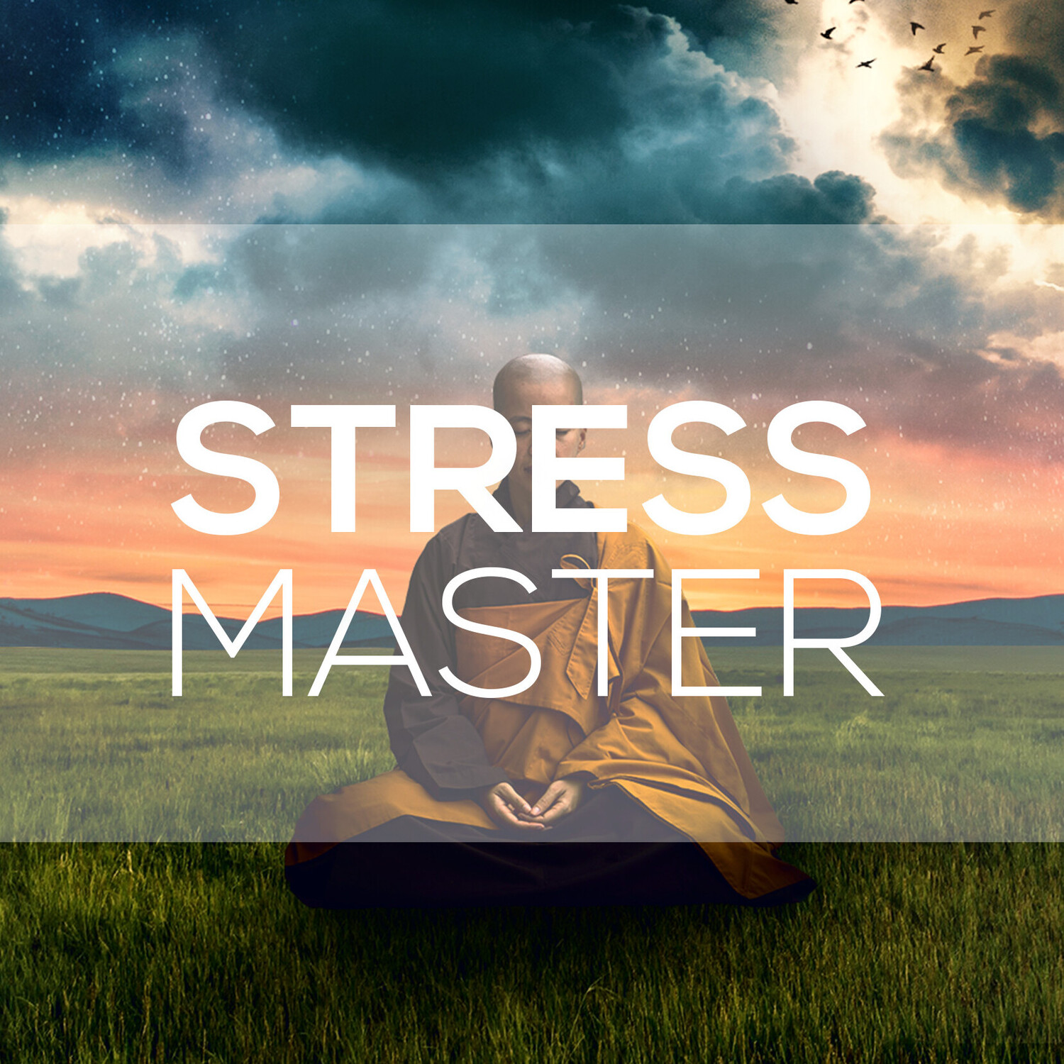 Stress Master